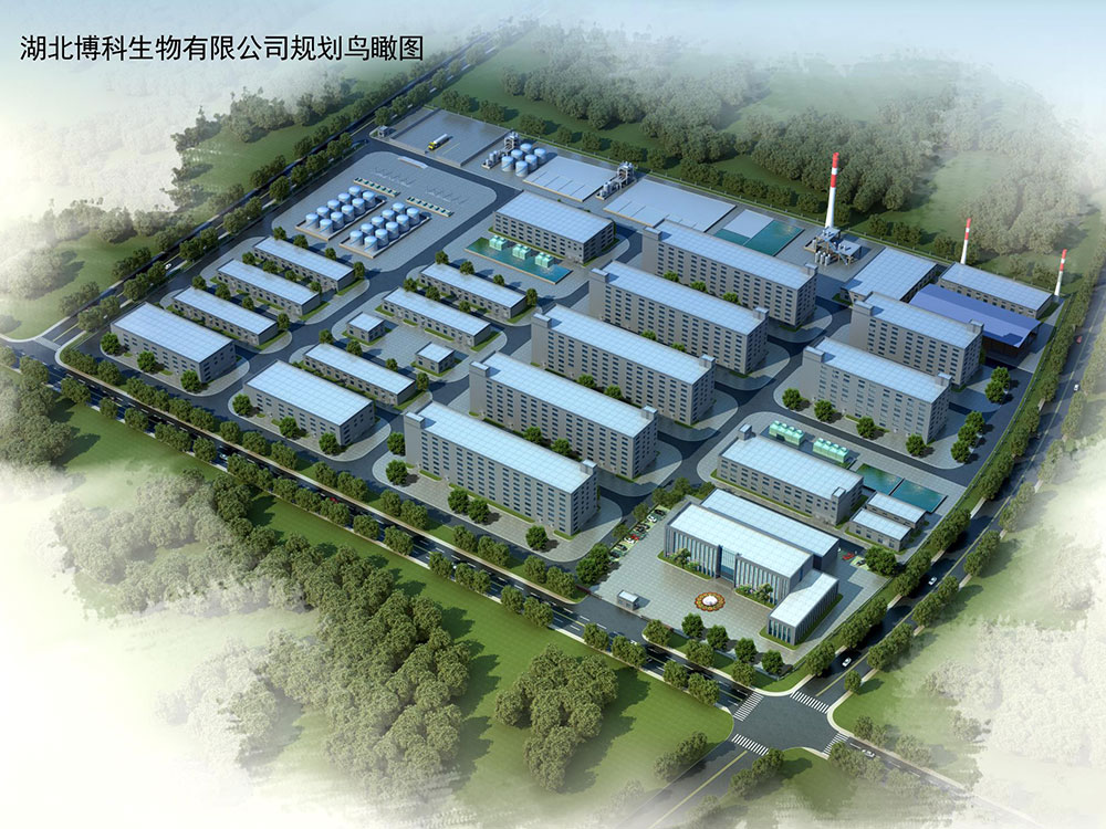 湖北博科生物科技有限公司